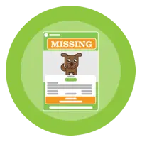 Missing pet social media post