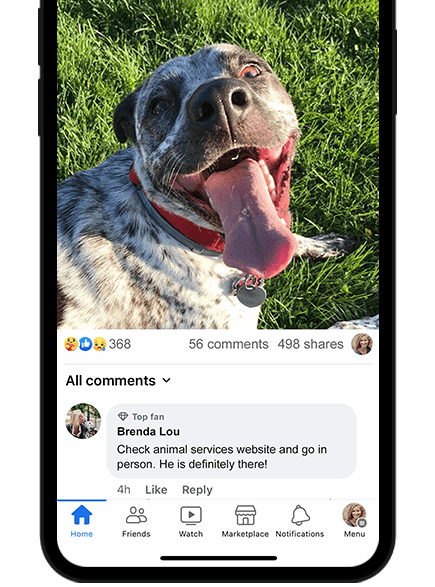 Facepost about lost pet - lostboost