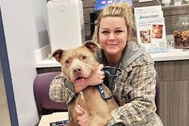 Homecoming Heroes: How Animal Shelters Reunite Lost Pets and Owners