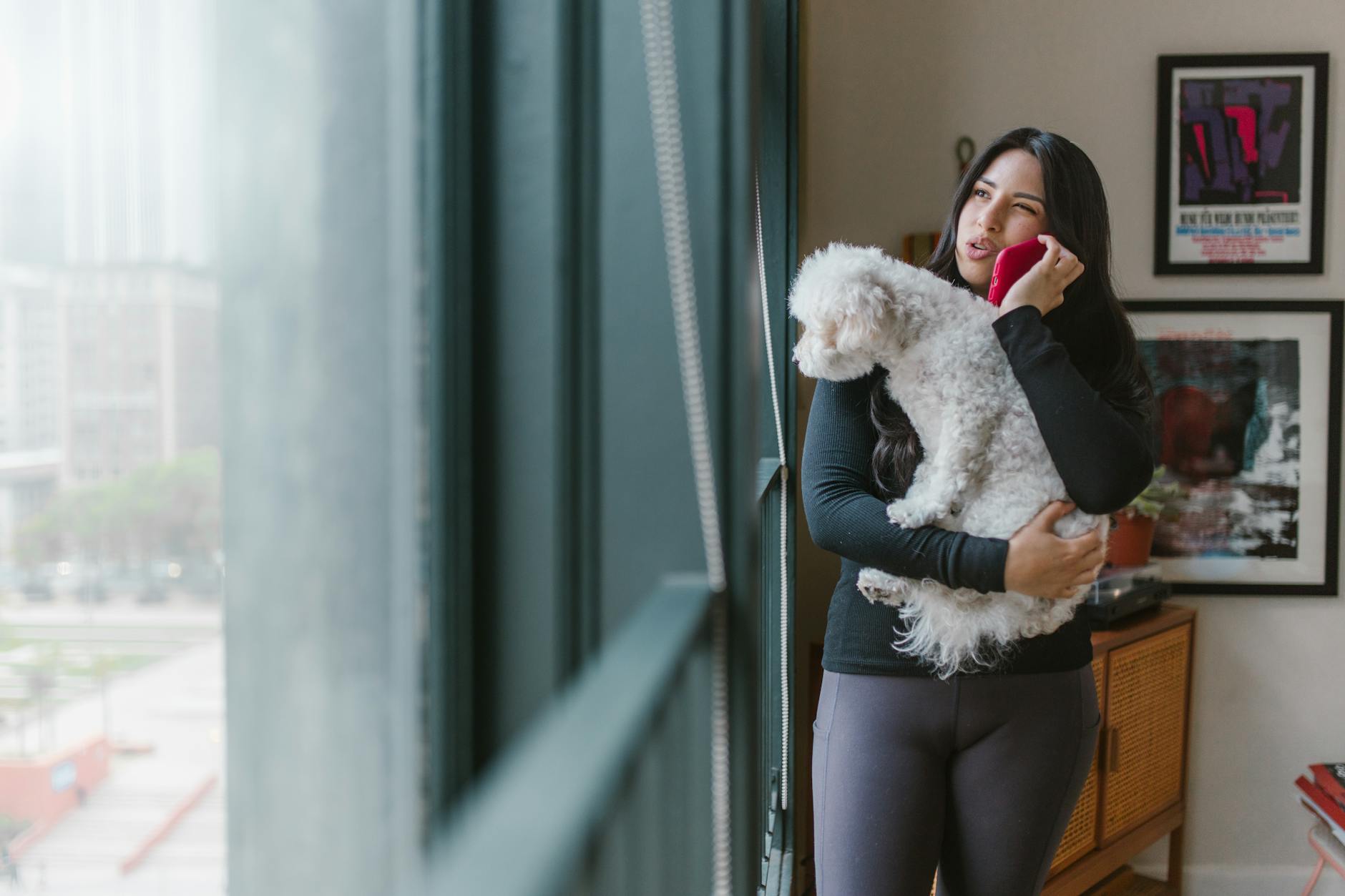 Contacting Shelters and Veterinary Clinics