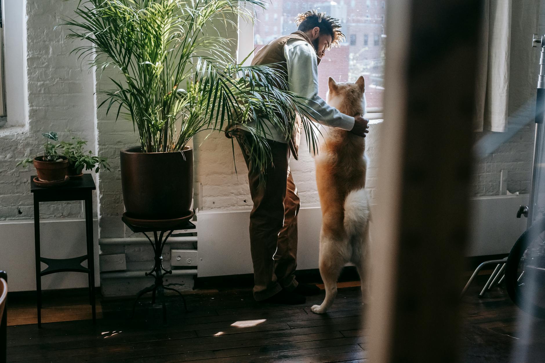 Preventative Measures: Securing Your Home and Pet