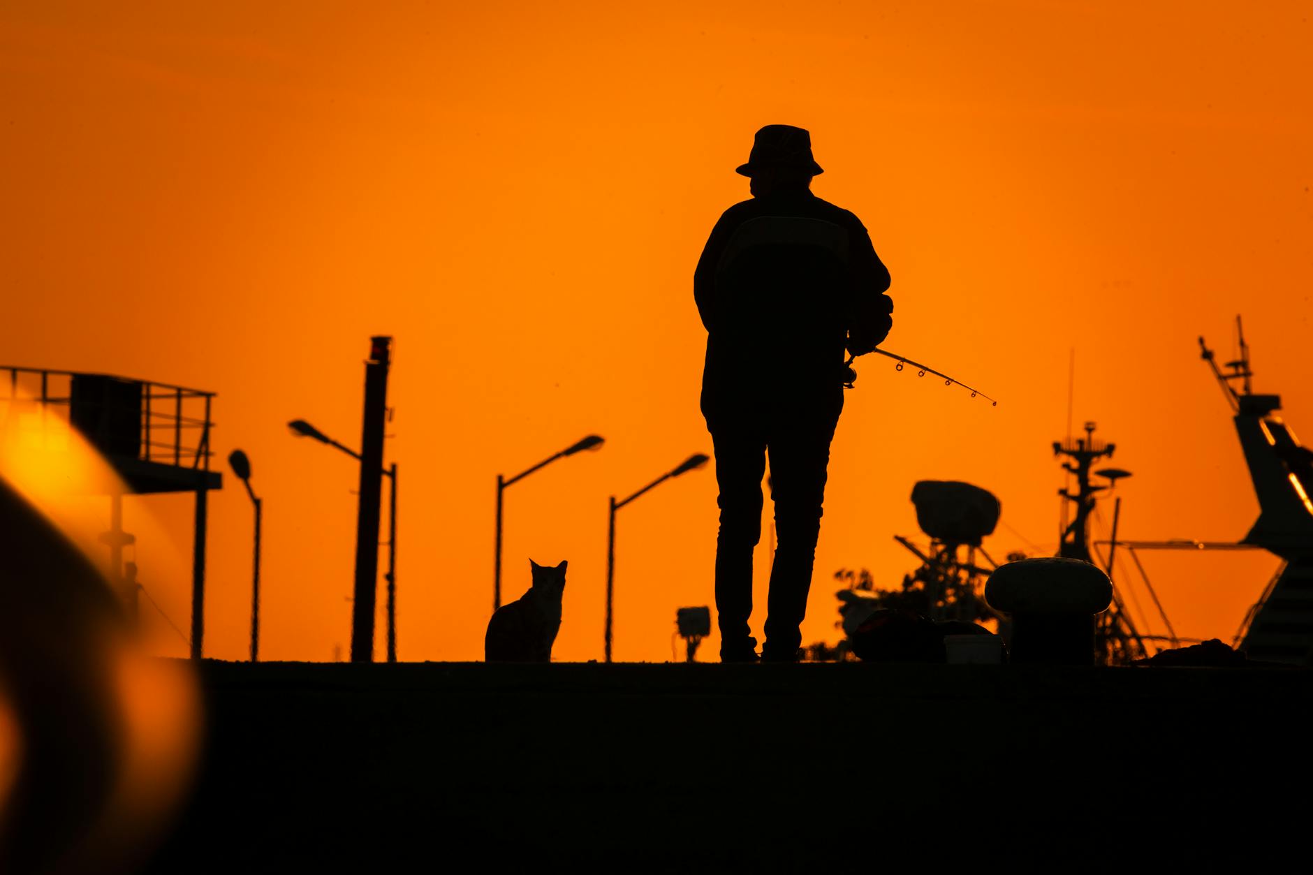 The Best Times to Search: Dawn and Dusk