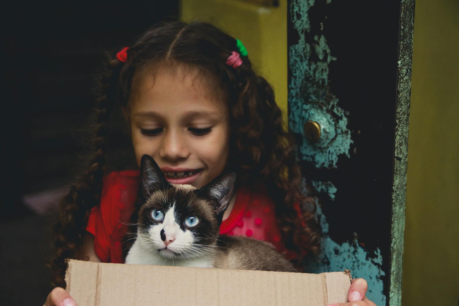 Involving Children in the Search: A Sense of Agency