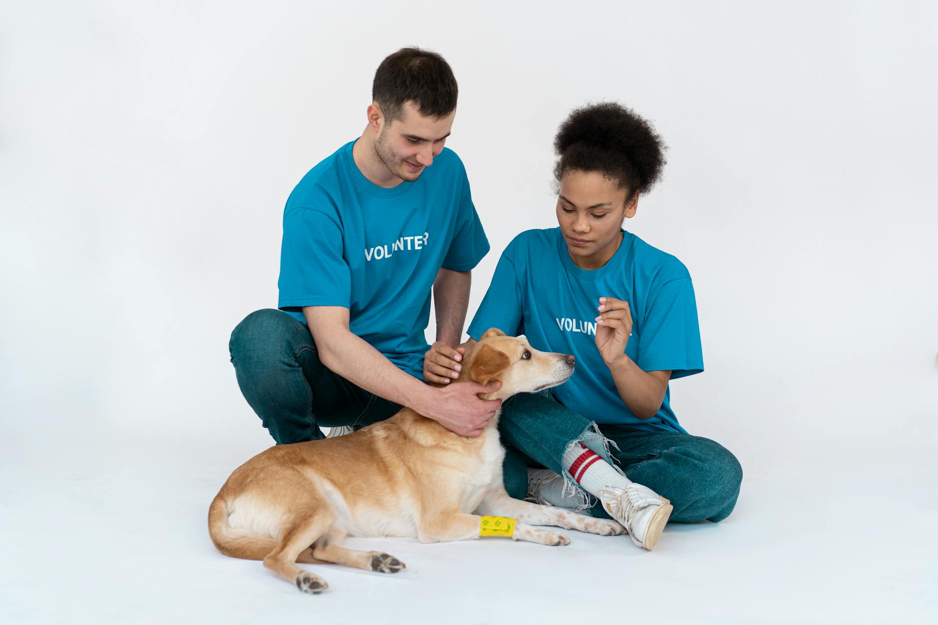 LostBoost: Amplifying Community Efforts