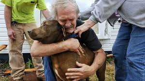 Heartwarming Tales of Reunions: Why Acting Fast Is Key to Finding Lost Pets