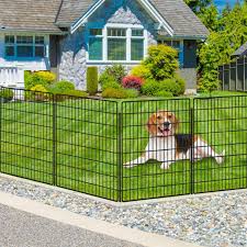 Why Do Dogs Escape? Common Causes and Prevention Tips