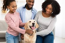 Talking to Kids About a Lost Pet: Finding Hope and Healing Together
