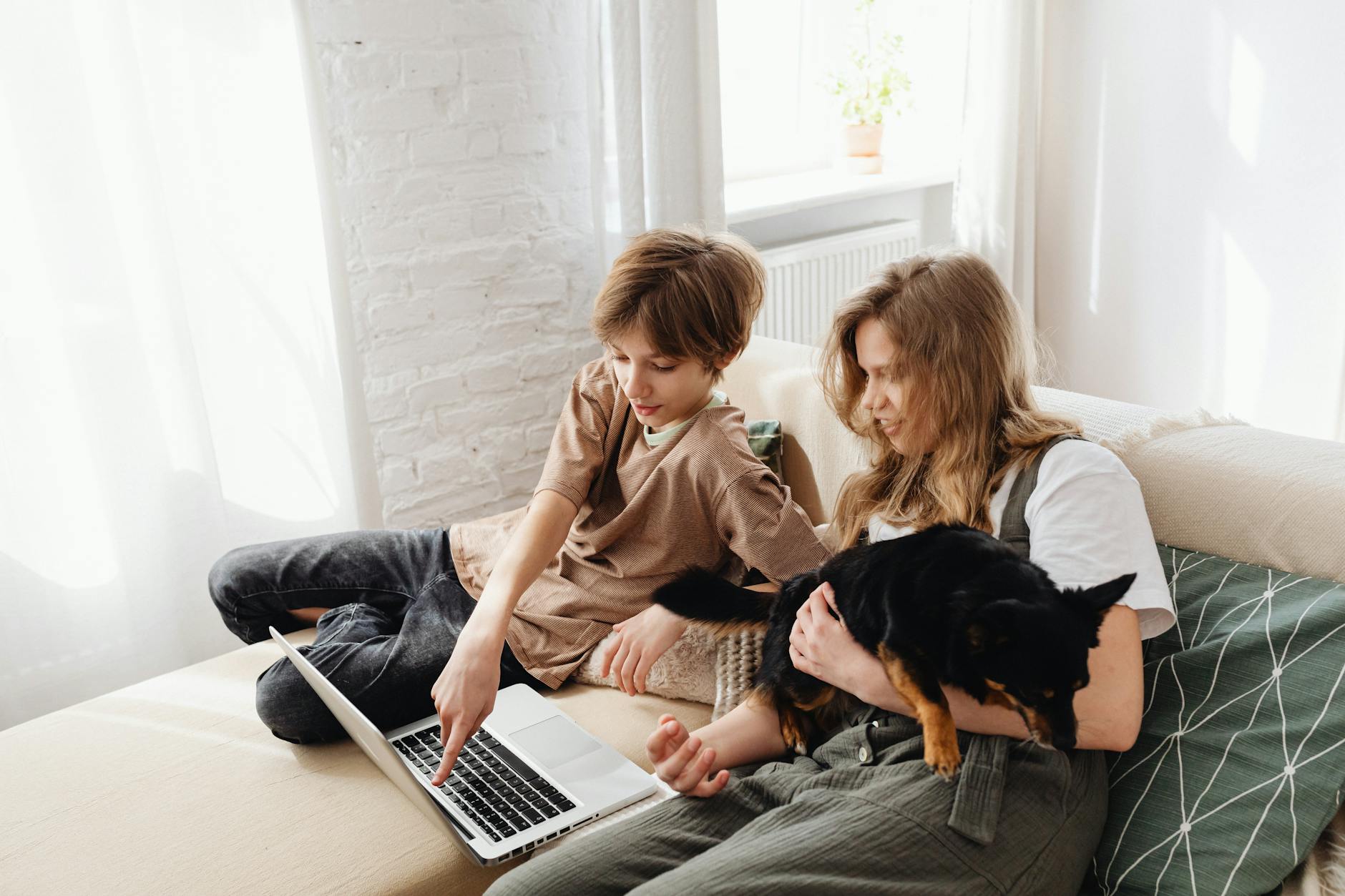 Using Lost Pet Platforms: Fostering Hope
