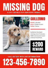 Lost Dog Recovery: Proven Strategies to Find Your Missing Pup
