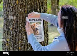 Beyond Cats and Dogs: Finding Your Exotic Pet After They Go Missing