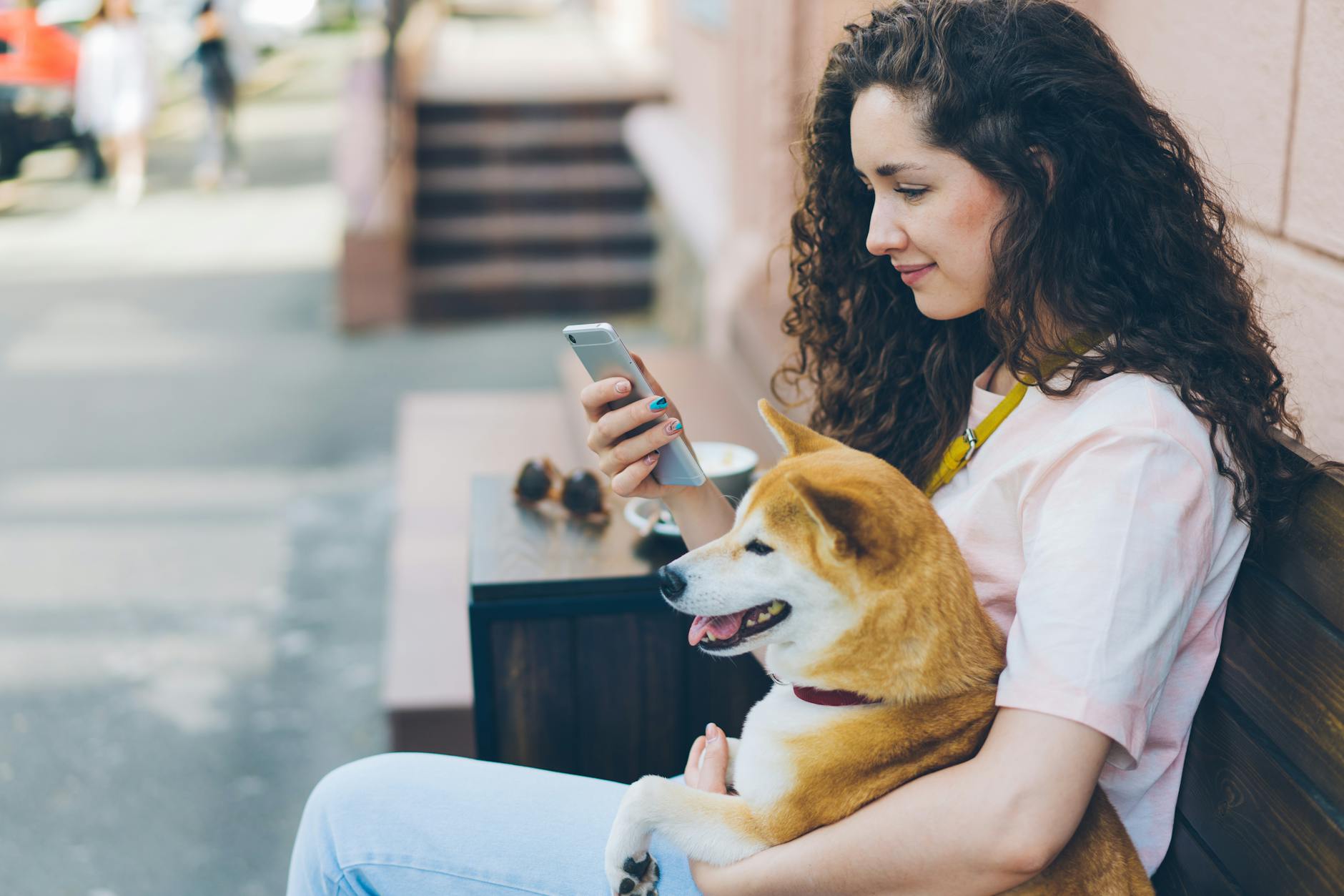 LostBoost: A Central Hub for Community-Driven Pet Recovery