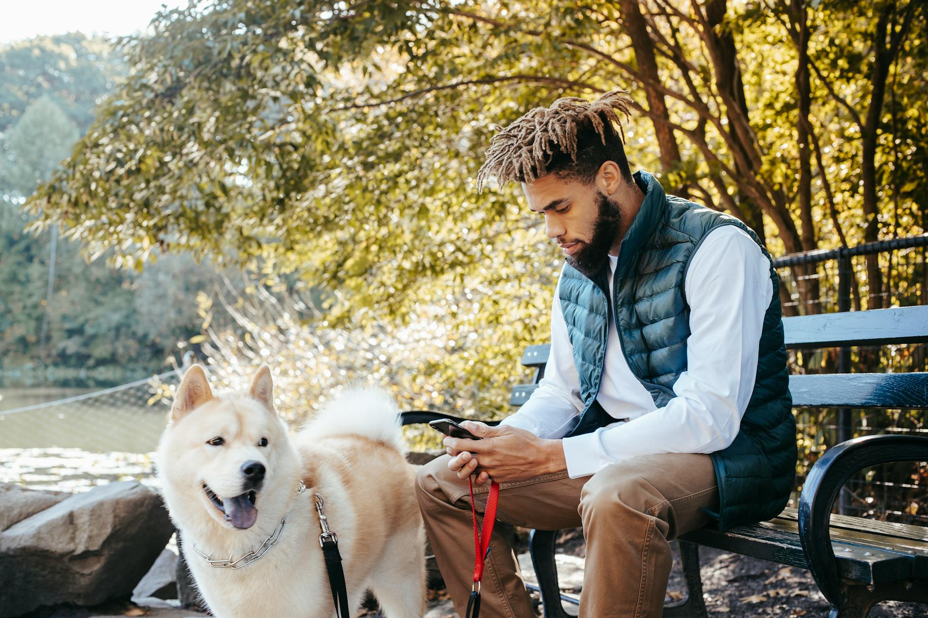 Social Media: A Game Changer for Pet Recovery