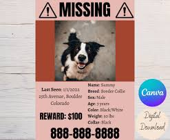 Beyond Cats and Dogs: Finding Your Exotic Pet After They Go Missing