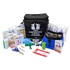 Peace of Mind: Preparing a Lost Pet Kit Before Disaster Strikes
