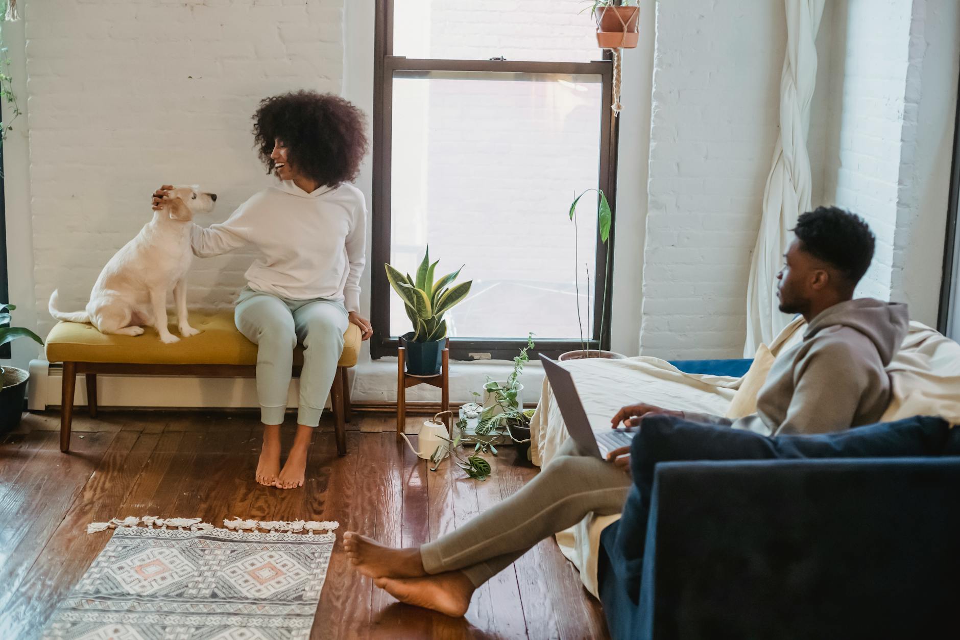 Updating Online Platform Profiles: A Step-by-Step Guide