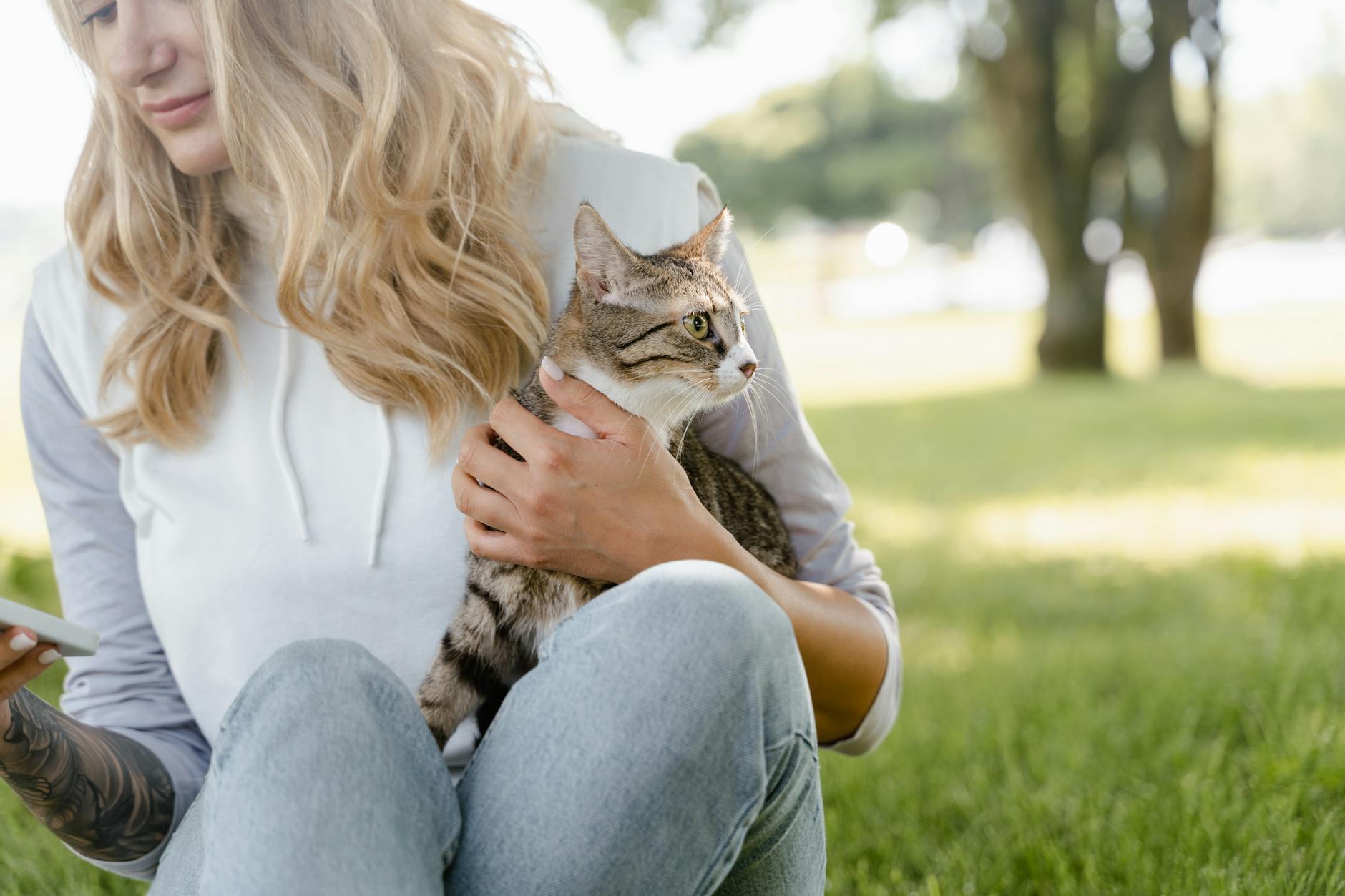 What Happens When a Microchipped Pet is Found?