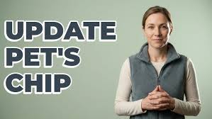 Moving with Your Furry Friend: Keeping Pet Lost & Found Info Current